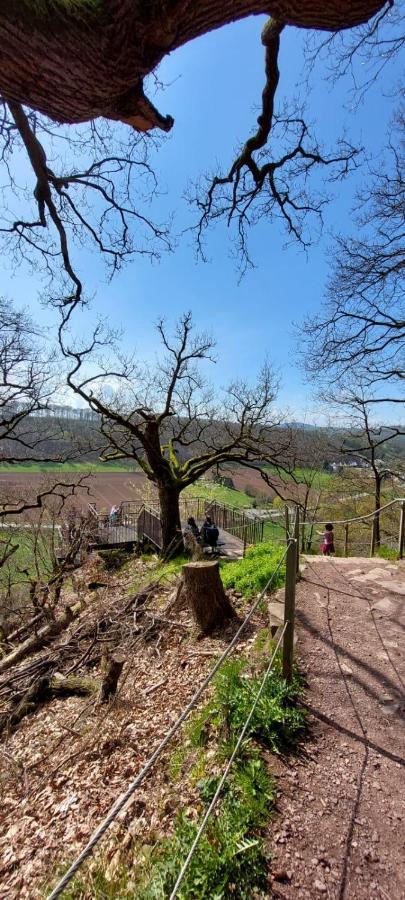 Froschkoenig Mit Teichblick Apartment Trendelburg Exterior photo