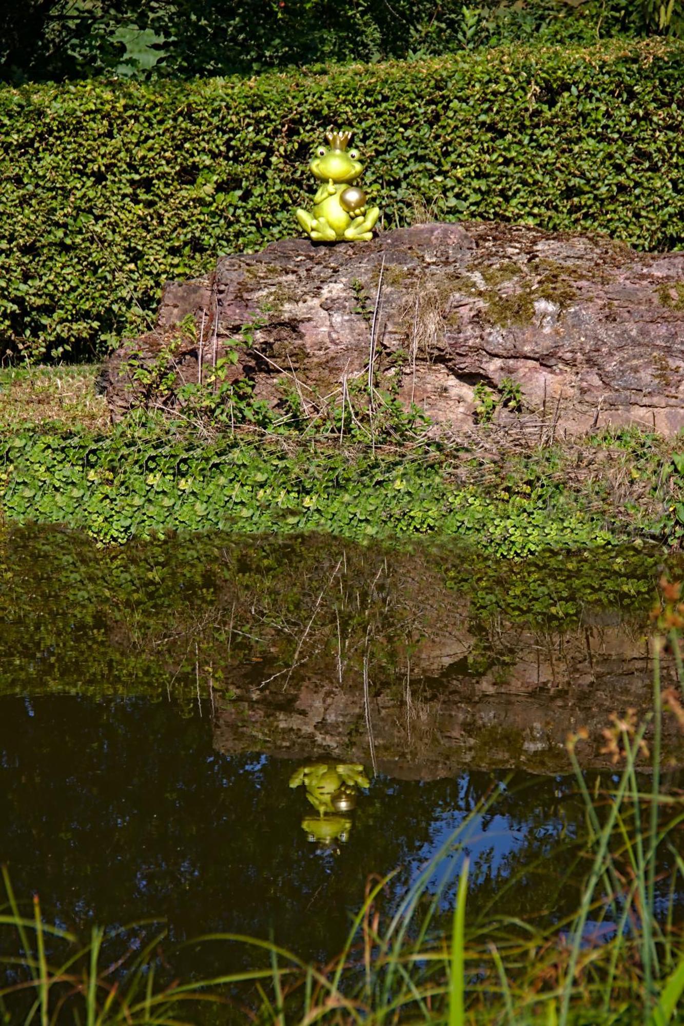 Froschkoenig Mit Teichblick Apartment Trendelburg Exterior photo