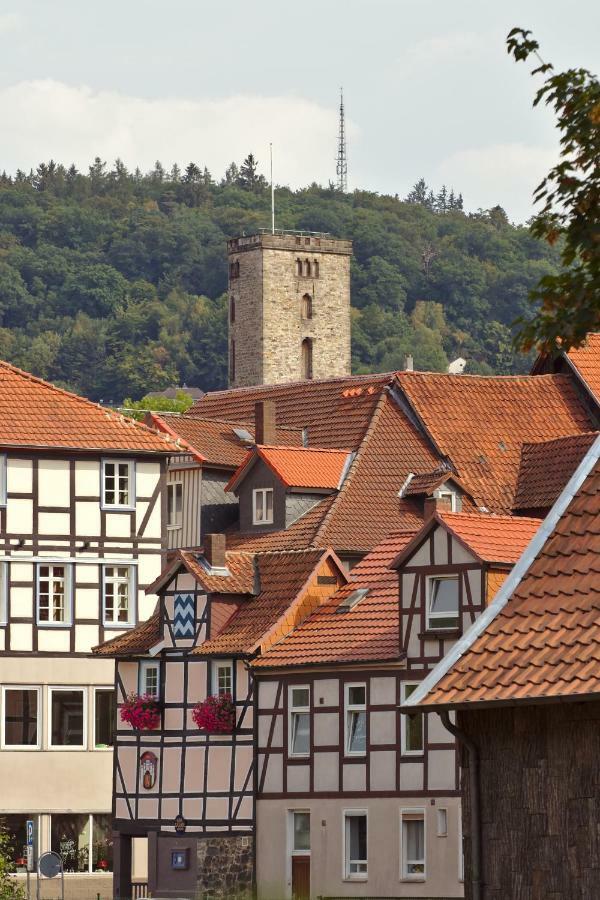 Froschkoenig Mit Teichblick Apartment Trendelburg Exterior photo